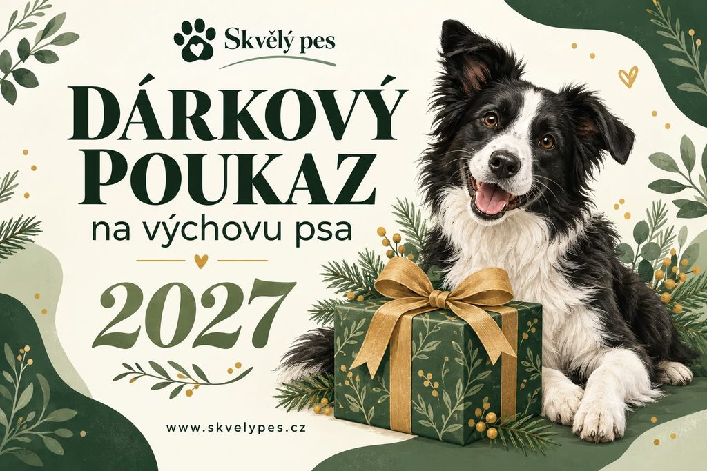 Dárkový poukaz Skvělý pes na výchovu psa 2027